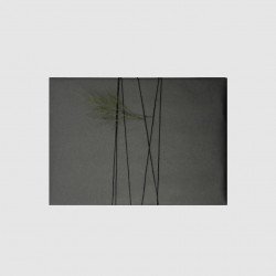 تغليف هدية (كلاسك)